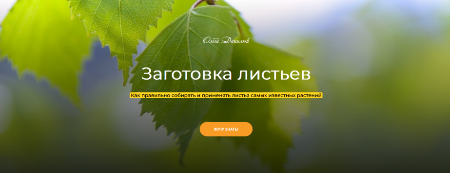 [Ольга Данилюк] Заготовка листьев (2023)_0.png